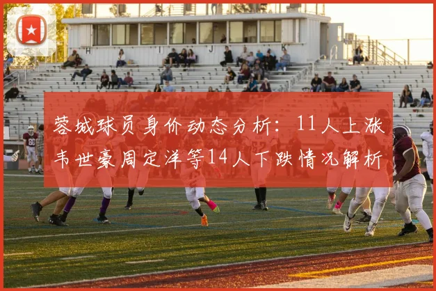 蓉城球员身价动态分析：11人上涨韦世豪周定洋等14人下跌情况解析