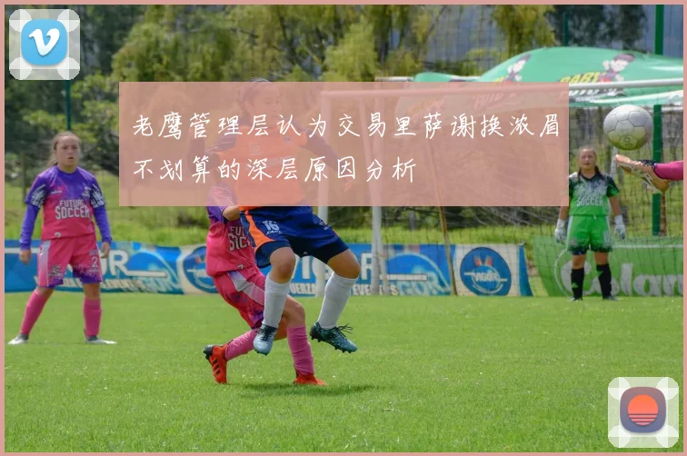 老鹰管理层认为交易里萨谢换浓眉不划算的深层原因分析