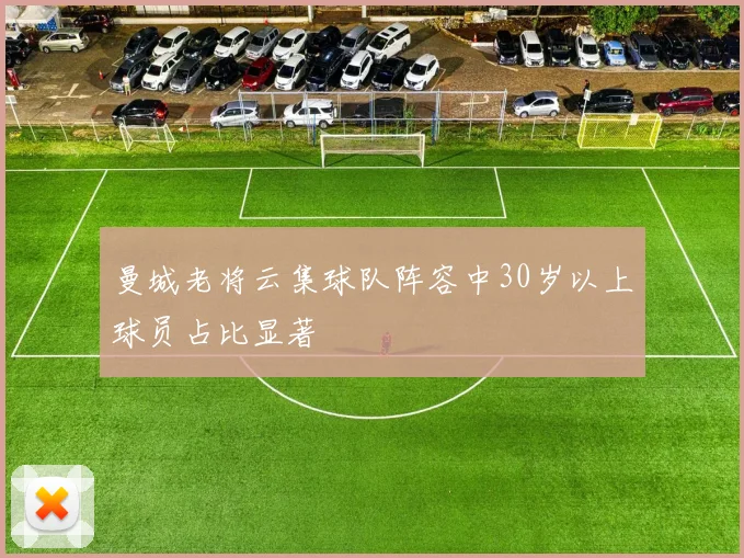 曼城老将云集球队阵容中30岁以上球员占比显著