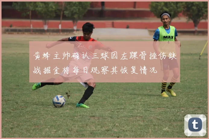 黄蜂主帅确认三球因左踝骨挫伤缺战掘金将每日观察其恢复情况