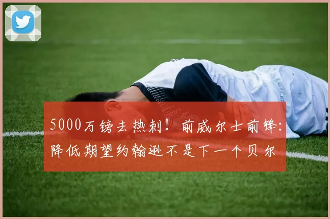 5000万镑去热刺！前威尔士前锋：降低期望约翰逊不是下一个贝尔